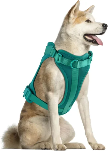 Miniatura 27 de Arnés ligero para perro sin tirones: arnés ajustable y duradero de malla transpirable con cojín suave y cómodo, para perros pequeños, medianos y Lila