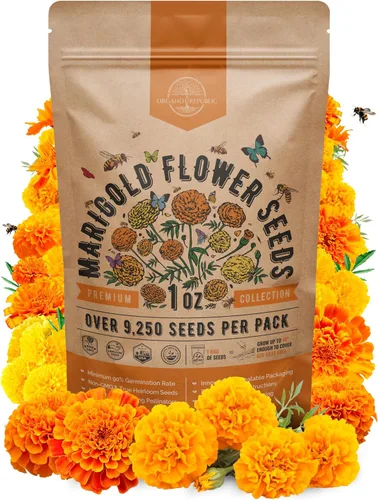 Miniatura 20 de Paquete de Semillas de Mezcla de Girasol 4 oz - Más de 5,100 Semillas de Girasol Reliquia No-GMO para Plantar, Flores Anuales en Paquete de Semillas