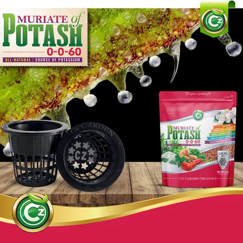 Miniatura 6 de Muriate de potasa 0-0-60 Fertilizante hecho en EE. UU. - MOP Alimento de potasio para plantas y jardines de flores – ¡Promueve grandes flores!