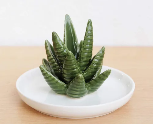 Miniatura 6 de PUDDING CABIN Soporte para anillos de aloe, plato para anillos de cactus, bandeja para joyas para anillos, aretes, collar, regalo de Navidad