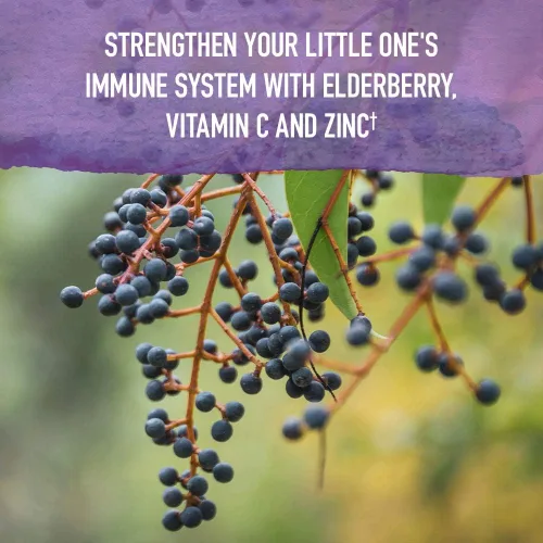 Miniatura 4 de Garden of Life Organics - Jarabe inmunológico de saúco y sueño para niños con zinc, vitamina C, jarabe de saúco, apoyo inmunológico a base