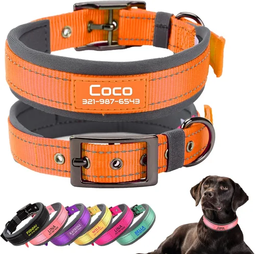 Miniatura 7 de Collares de perro personalizados con nombre de mascota y número de teléfono, acolchado de neopreno suave, collar de perro grueso y fuerte, collar