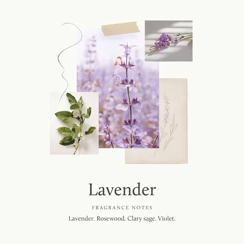Miniatura 3 de Thymes Vela aromática en tarro - Vela perfumada de lavanda para una fragancia casera relajante - Velas blancas mates (7.5 oz)