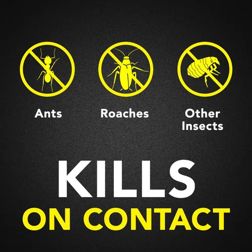 Miniatura 4 de Raid Ant Killer Spray Pine Forest (17.5 onzas (paquete de 2)