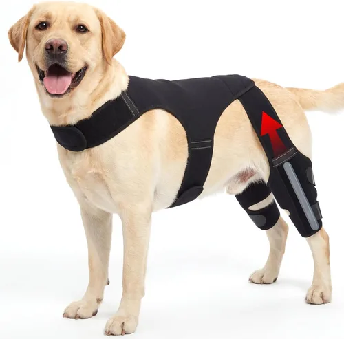Rodillera para perro para pierna trasera, pierna trasera, ACL, soporte ajustable para piernas de perro doble con estabilizadores, ayuda con desgarro