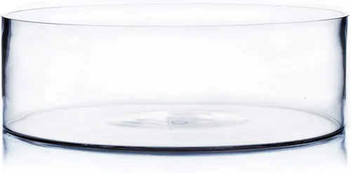 Miniatura 12 de WGV - Jarrón cilíndrico, ancho abierto de 8 pulgadas, altura de 4 pulgadas, recipiente transparente estilo sartén plana, terrario para maceta