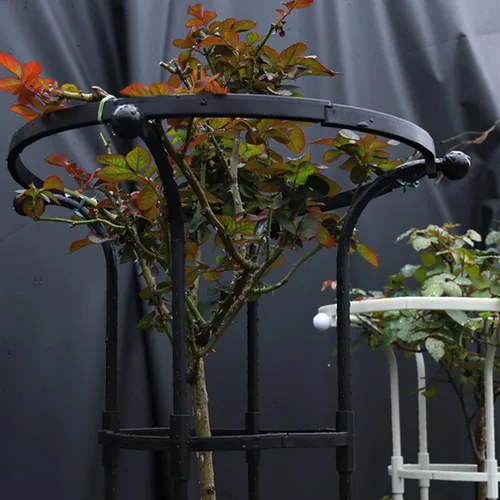 Miniatura 4 de Enrejado de obelisco de jardín para plantas trepadoras, enrejado de exterior e interior para plantas en maceta, paraguas vertical de metal
