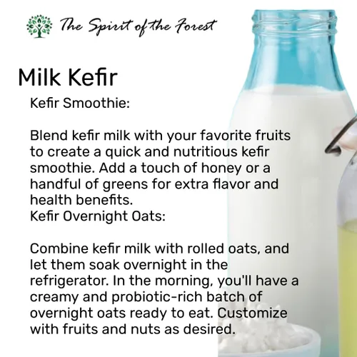 Miniatura 8 de Granos vivos de kéfir de leche - Live Active Starter Cultures Scoby para bebida probiótica casera para almendras, kéfir de coco o leche entera