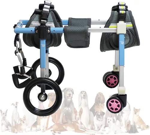 4-Wheels Dog Wheelchair for Back Legs, Adjustable Dog Carts with Walking Recover Mobility Aids, LightWeight Pet Wheelchairs for Injured, Disabled,