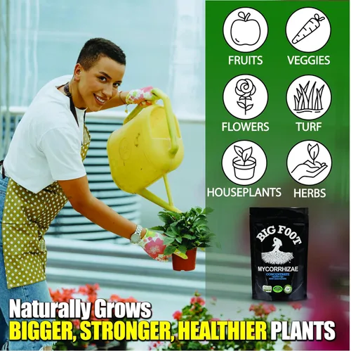 Miniatura 2 de Big Foot Mycorrhizae para Plantas, Plantas en Maceta y Jardines - Concentrado que se Disuelve Completamente en Agua, Fertilizante Orgánico Todo