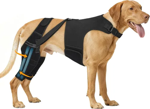 Miniatura 11 de Rodillera para perro para pierna trasera desgarrada, ajustable para pierna trasera con 6 estabilizadores, reduce el dolor, lesiones de ligamentos