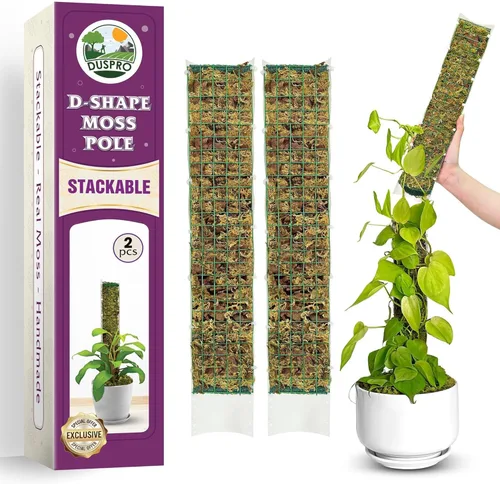 Miniatura 14 de DUSPRO Postes de musgo de malla plana para plantas trepadoras, Monstera, poste de musgo apilable para plantas con musgo real, poste para plantas