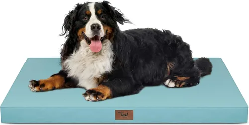 Miniatura 100 de Cama ortopédica de felpa para perros y cachorros medianos, camas impermeables para perros de 30 x 20 pulgadas con funda extraíble lavable, tapete