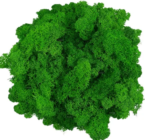Miniatura 12 de Musgo artificial preservado de musgo para plantas en maceta, musgo verde fresco natural para manualidades, decoración de pared floral, centros