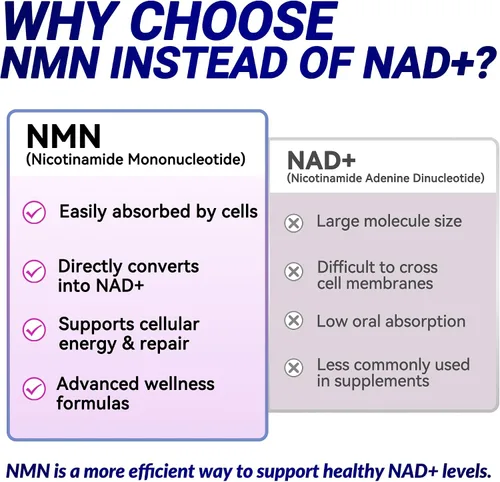 Miniatura 4 de Suplemento NMN de 1000 mg por porción, 99.9% mononucleótido de nicotinamida pura, NAD+ apoya la energía celular y el envejecimiento saludable