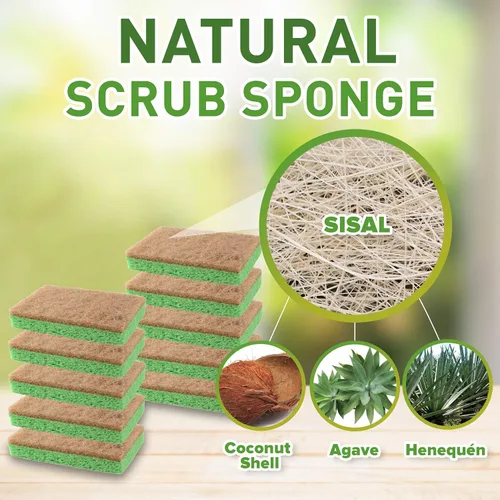 Miniatura 2 de SCRUBIT Paquete de 24 esponjas naturales – Esponjas naturales biodegradables compostables de celulosa y coco para platos, esponja de cocina