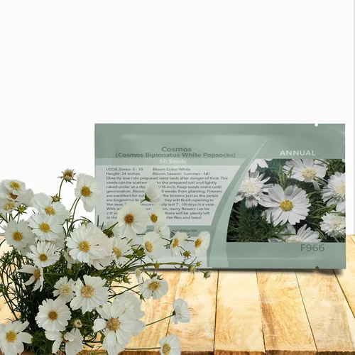 Outsidepride White Popsocks Cosmos Bipinnatus Seeds – 50 piezas anuales, fáciles de cultivar y tolerantes a la sequía, semillas de flores para