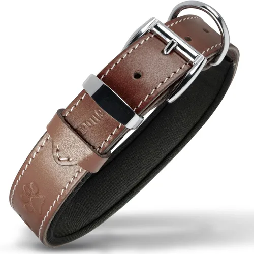 Miniatura 7 de Filbert Collar de cuero para perro, collar de cuero genuino para perros pequeños, estampado de patas en relieve con hebilla, grano completo curtido
