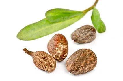 Miniatura 8 de Manteca de karité no refinada orgánica para piel con eczema o acné crema facial hidratante no comedogénica apta para bebés, para el pelo producto