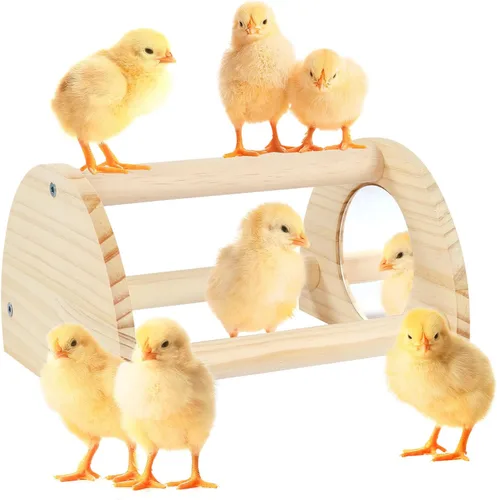 Perca de pollo de pino con espejo, barra de gallo fuerte para pollitos de la selva, juguetes de pollo para gallinero y criador, juguetes de perca de