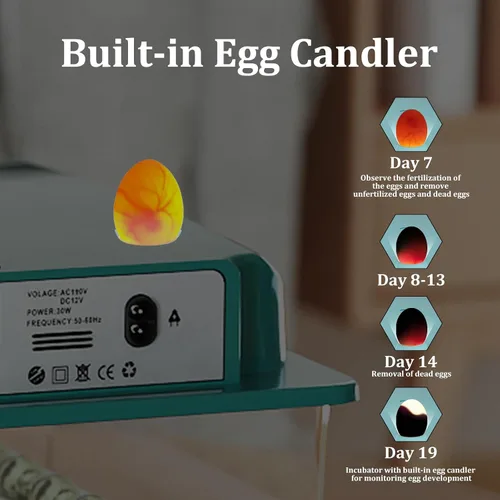 Miniatura 6 de Incubadoras para incubar 16 huevos, incubadora de huevos con giro automático de huevos y relleno de humedad, control de temperatura, incubadora