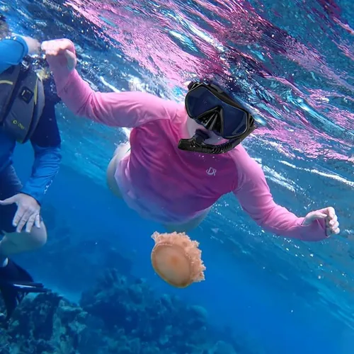 Miniatura 4 de Equipo de esnórquel para adultos, juego de esnórquel seco máscara de buceo, vista panorámica de 180°, equipo de esnórquel profesional, máscara