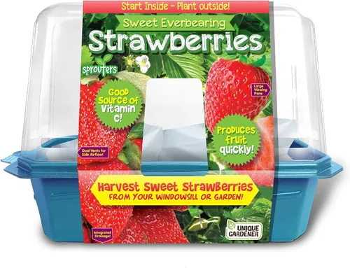 Miniatura 3 de Toys by Nature - Terrario de brotes de plátanos para interiores, suministros completos para cultivar mini plátanos comestibles en casa, las plantas
