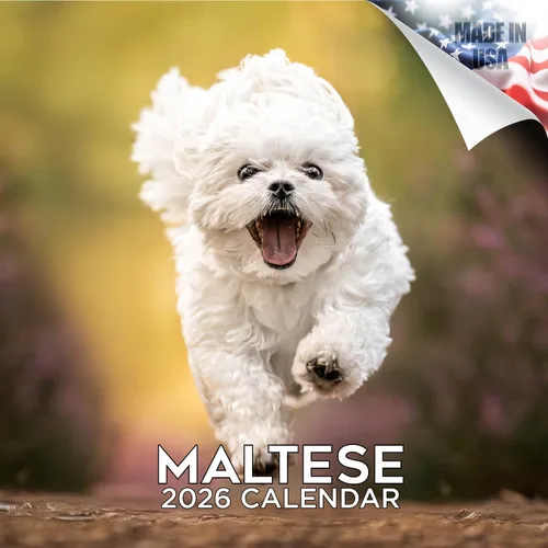 Miniatura 95 de Calendario 2025 2026 de cachorros Cocker Spaniel - Calendario mensual de pared de raza de perro - 12" x 24" abierto - Papel grueso sin sangrado