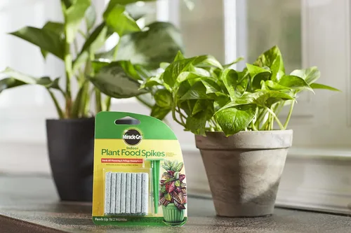Miniatura 2 de Miracle-Gro Picos para alimentos para plantas de interior, fertilizantes para plantas, 1.1 onzas, 24 pinchos/paquete (paquete de 24)