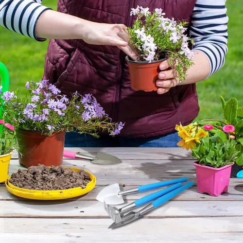 Miniatura 6 de Mini herramientas de jardinería, 3 piezas de herramientas de acero inoxidable para suculentas, pala, rastrillo de pala, pala de mano de 2