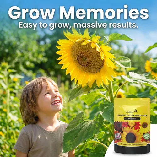 Miniatura 7 de NatureZ Edge 1300+ Semillas de Girasol Paquete de Variedad de Jardín, Semillas de Girasol a Granel para Plantar Flores, Obtén Más Semillas