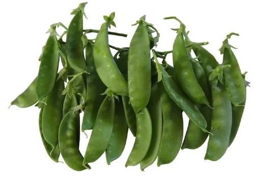 Semillas de guisantes de nieve de Oregon, paquete de 25 semillas, sin OMG, de mejor sabor, guisantes de nieve más vigorosos. Utilízalos para recetas