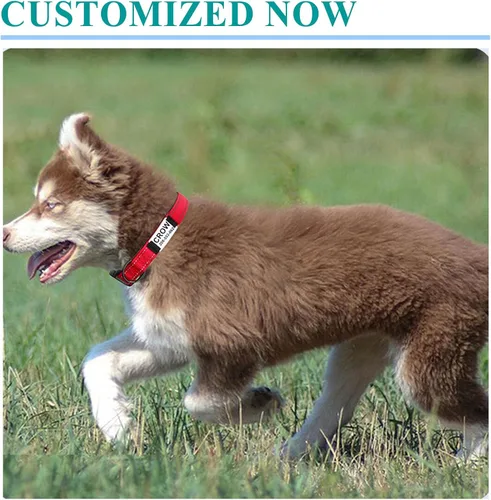 Miniatura 6 de Collares de perro personalizados con placa de nombre, etiquetas de identificación de placa de nombre grabadas con collar de perro de nailon Púrpura