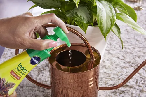 Miniatura 5 de Miracle-Gro Alimento para plantas de interior, fertilizante para plantas, 8 onzas (paquete de 6)