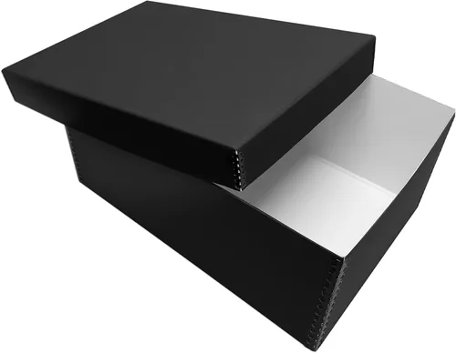 Lineco Caja de tarjetas fotográficas, almacenamiento de archivo de calidad de museo, sin ácidos con tapa extraíble, almacenamiento a granel para