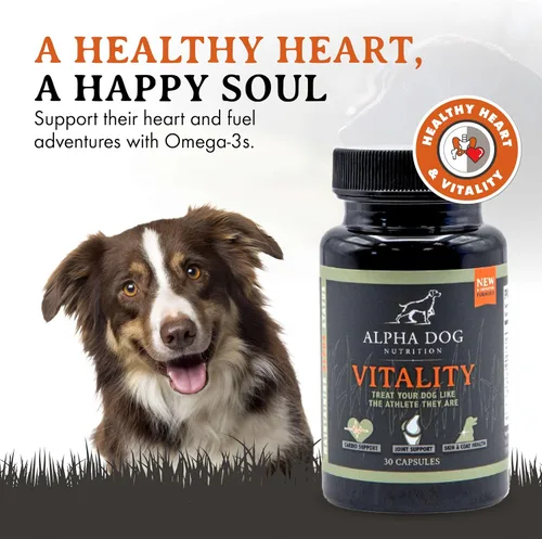 Miniatura 2 de Aceite de krill para perros – Vitality by Alpha Dog Nutrition – Reduce las alergias, picazón y desprendimiento de perros – Promueve la piel