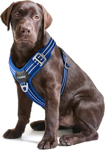 Miniatura 21 de Arnés sin tirones para perro, chaleco reflectante ajustable con broche de metal, malla suave transpirable sin estrangulamiento para cachorro, fácil