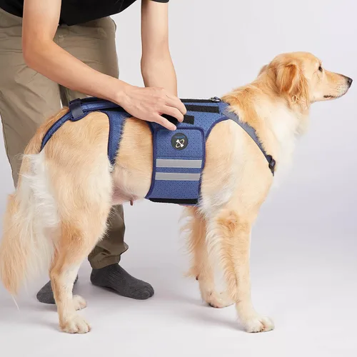 Miniatura 7 de Coodeo Soporte de espalda para perros para artritis, soporte de espalda para mascotas para IVDD, protector de espalda ayuda a aliviar el dolor, Azul