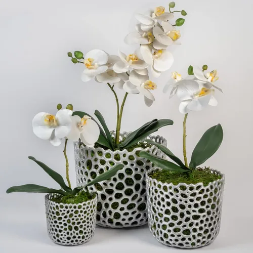 Miniatura 4 de Maceta cilíndrica de malla para orquídeas, maceta de orquídea, maceta de orquídea, maceta de orquídeas, maceta para plantas de aire, maceta