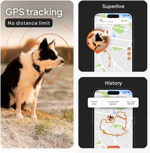Miniatura 3 de Weenect Dog XT - Nuevo collar GPS para perros Antena XL Impermeable Collar Julius-K9 integrado ultra duradero Requiere suscripción