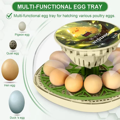 Miniatura 2 de Incubadoras inteligentes de pollo para incubar huevos con volteador automático, aves, pato, codorniz, incubadora de 12 huevos, pantalla de control