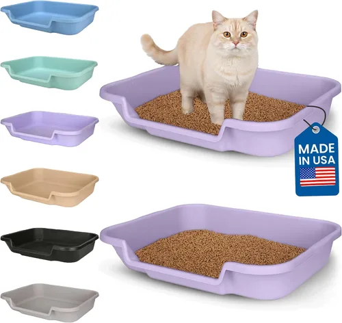 Miniatura 11 de KittyGoHere - Caja de arena para gatos mayores, sartén pequeña con cuchara jumbo de mango largo, caja de arena para gatos de entrada baja, ligera