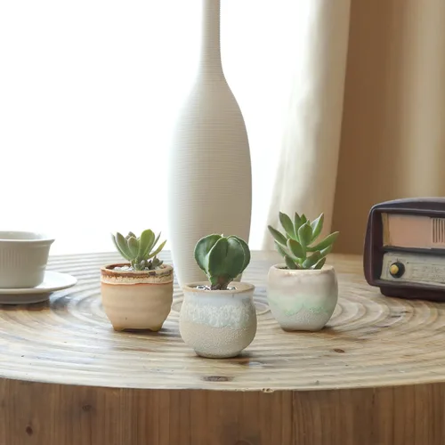 Miniatura 8 de T4U Juego de 6 macetas pequeñas de cerámica para suculentas con drenaje, mini para plantas, maceta de porcelana pequeña, macetas de plantas de aire