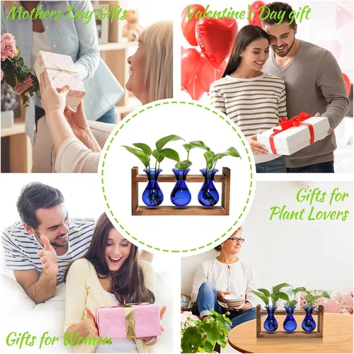 Miniatura 6 de Estación de Propagación de Plantas Terrario de Plantas Regalos Únicos de Cumpleaños para Mujeres Decoración para Hogar y Oficina Maceta con Soporte