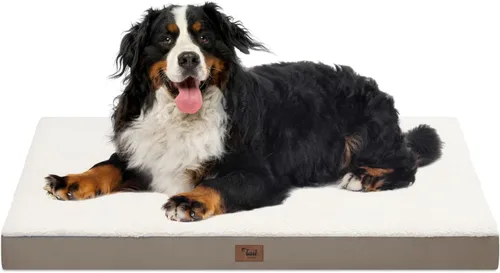 Miniatura 125 de Cama ortopédica de felpa para perros y cachorros medianos, camas impermeables para perros de 30 x 20 pulgadas con funda extraíble lavable, tapete