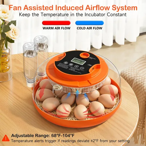Miniatura 4 de 18 incubadoras de huevos para incubar huevos, incubadora automática de giro de huevos y control de humedad para eclosionar pollo, pato, codorniz