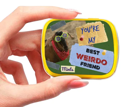 Miniatura 6 de You're My Best Weirdo Friend Mints – Divertido diseño de cabra de menta – Caramelos novedosos para amigos – Mentas de aliento de gaulteria, sin