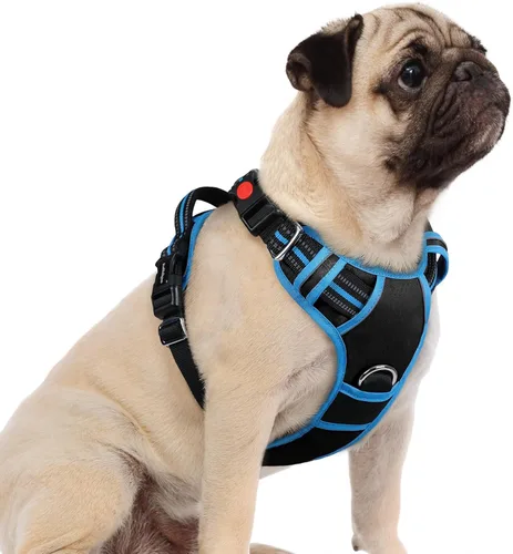 Miniatura 19 de rabbitgoo Arnés para perro de tamaño pequeño, chaleco para perro sin tirones con 3 hebillas, arnés ajustable y acolchado suave para mascotas con asa