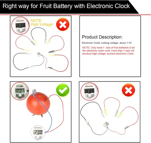 Miniatura 3 de Kit de experimento de batería de frutas EUDAX para equipo de enseñanza escolar y en casa de bricolaje, kit de proyecto de ciencia de reloj