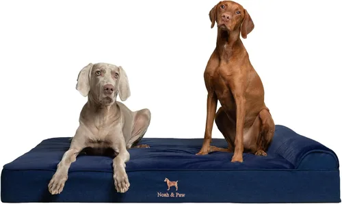 Miniatura 33 de NOAH & PAW Cama para perro, 28x23x7.5 pulgadas, camas ortopédicas para perros de tamaño mediano, espuma viscoelástica tipo cáscara de huevo Cuero